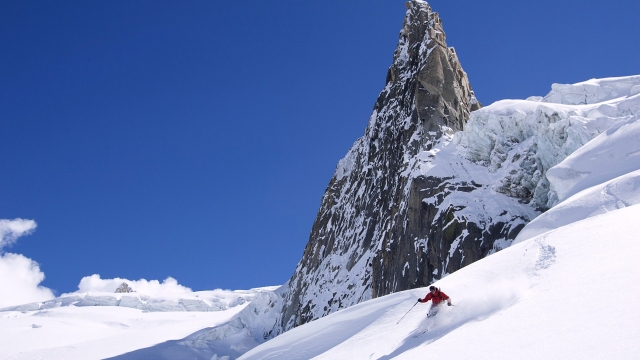 必赢：园林绿化杀菌除虫