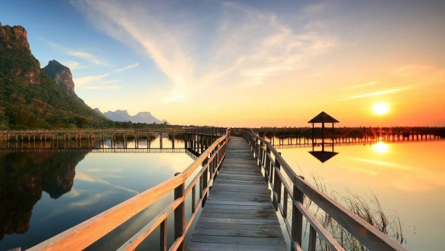 bwin必赢集团：园林绿化培育方法