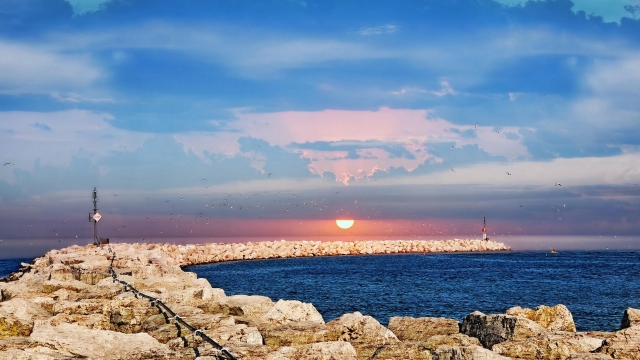 bwin必赢集团：园林绿化什么植物多