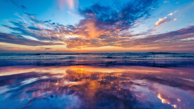 园林绿化常用时令花卉