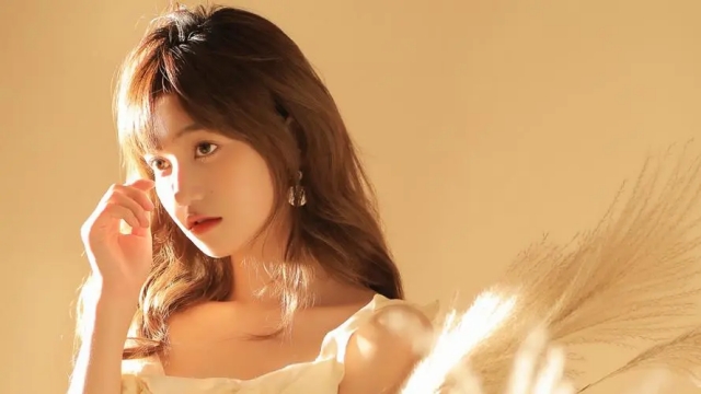 园林绿化树打药