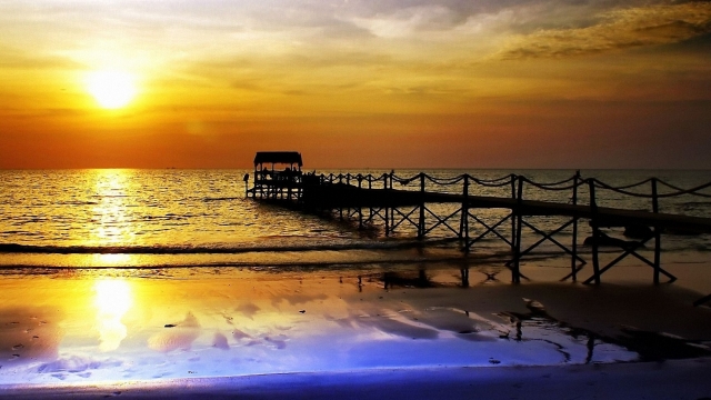 bwin必赢公司：园林绿化形草石隔离带