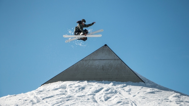 bwin必赢集团：园林绿化带的苗木名称