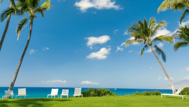 园林绿化养护的定义