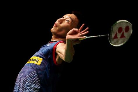 bwin必赢：园林绿化爬山虎