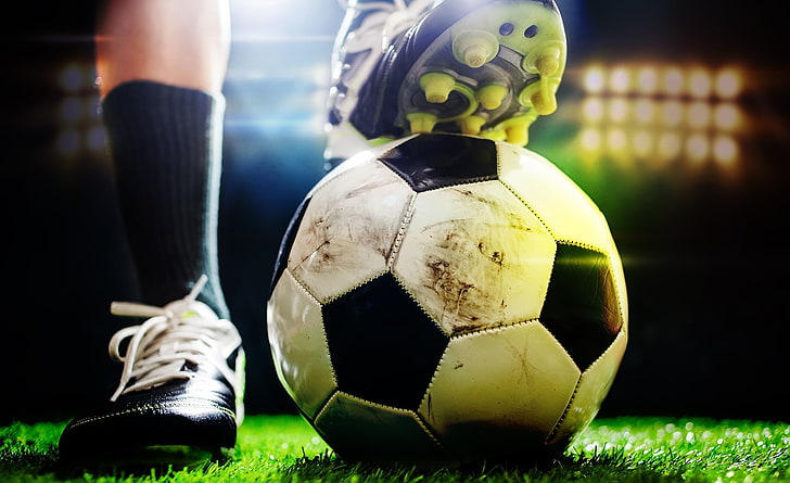 bwin必赢公司：园林绿化的塑石是什么