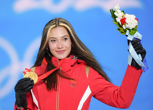 必赢唯一官方网站园林绿化盆景